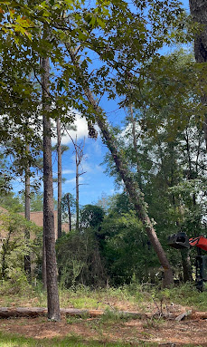 Tree work